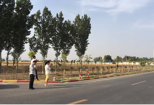 河南公路工程業(yè)務(wù) 河南公路工程業(yè)務(wù)