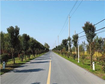  什么是公路基本建設程序？什么是公路建設項目經(jīng)濟評價？